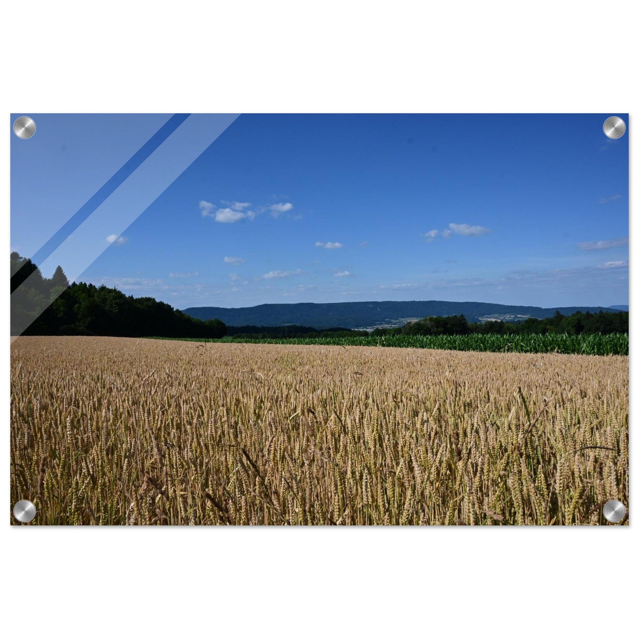 7ee70e3c-9db0-4928-8d9a-8b52a87b9af7