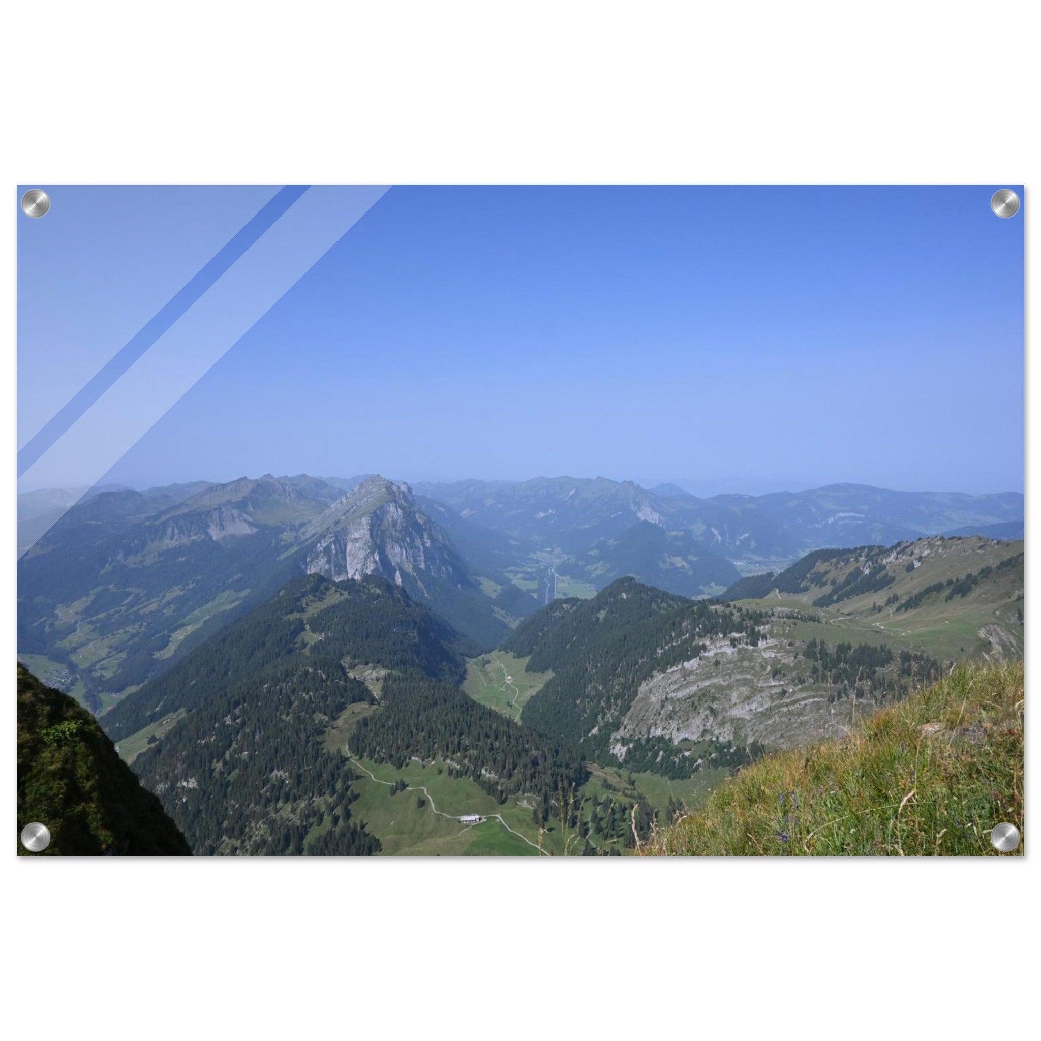 8a50bd8f-0570-44bb-ac60-7d739b3d0469