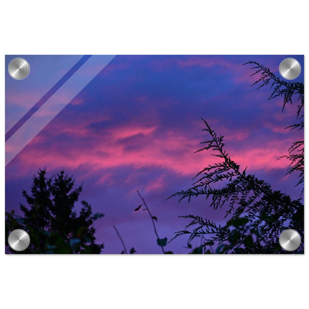 8c19c3fe-42c8-48d5-b4a2-9eec80e047b5