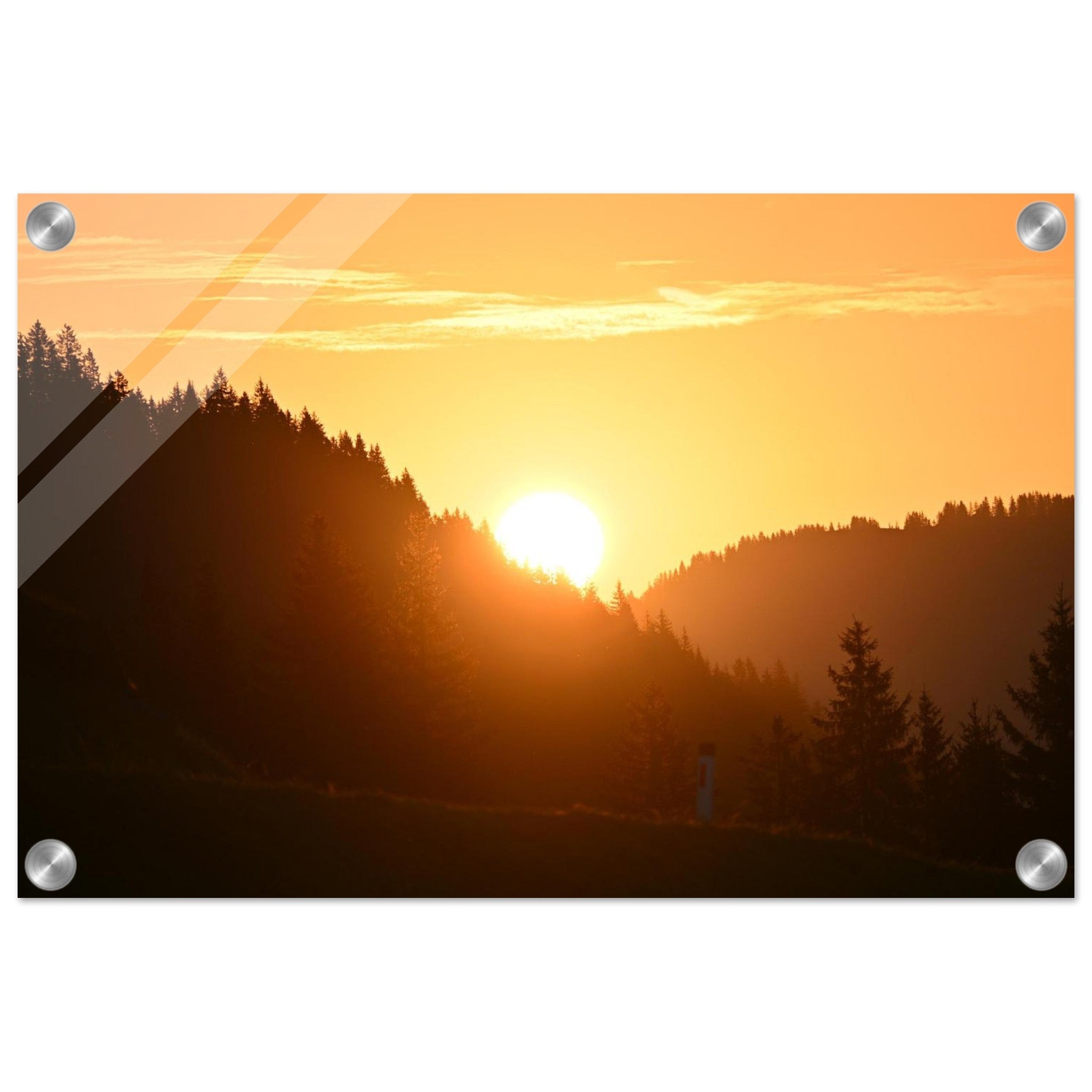 8c33e976-425f-4301-97f1-affd5c8dde20