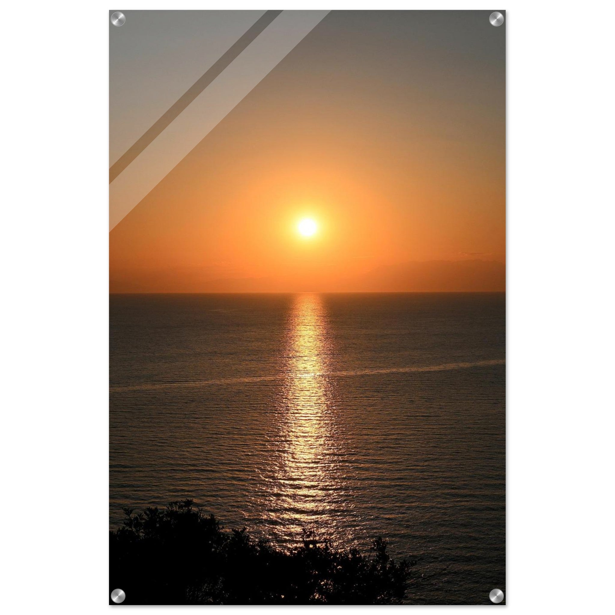 8dcef130-64f7-43bc-9c36-e8e97372c904