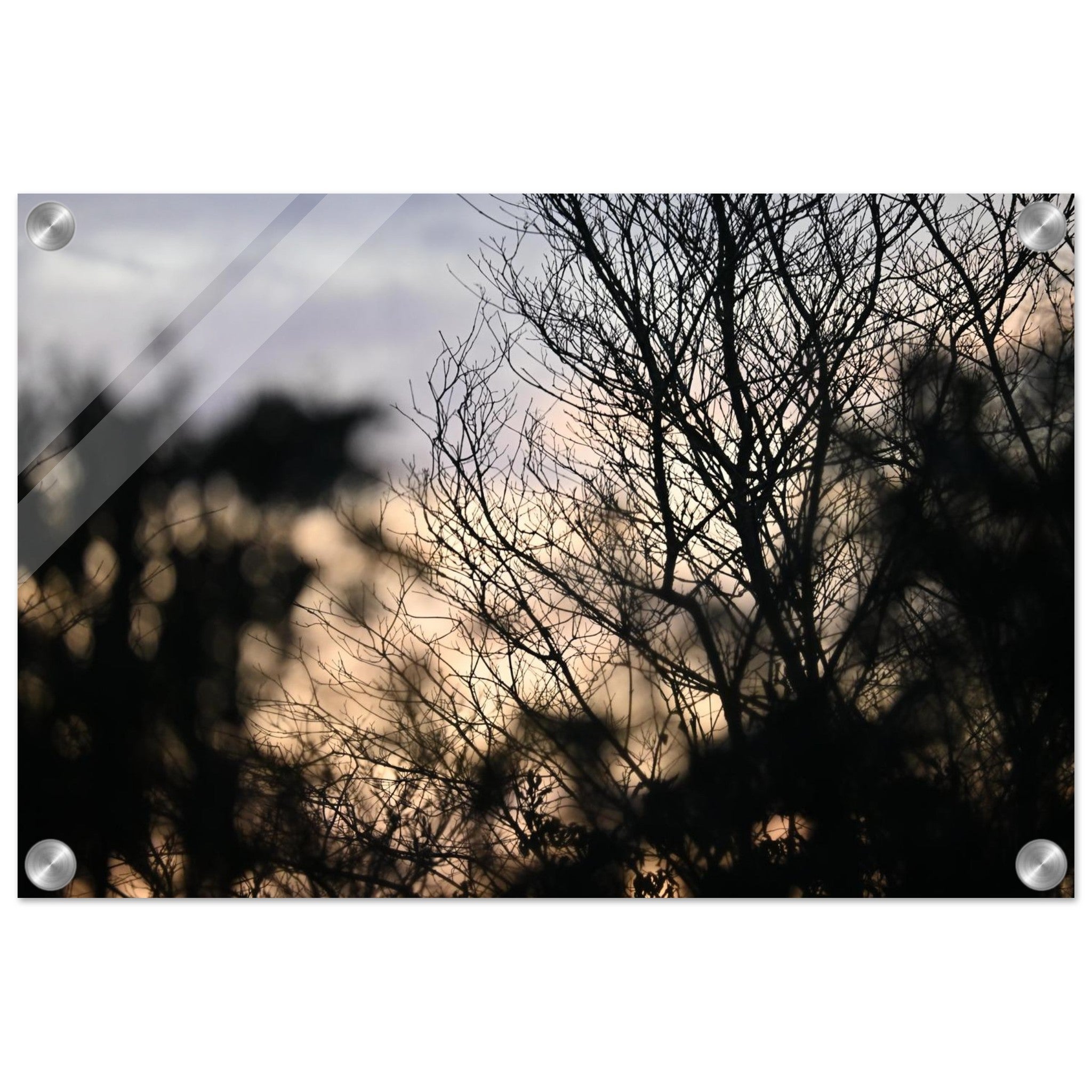 ae95267e-8780-4455-9820-f7541a6951d7