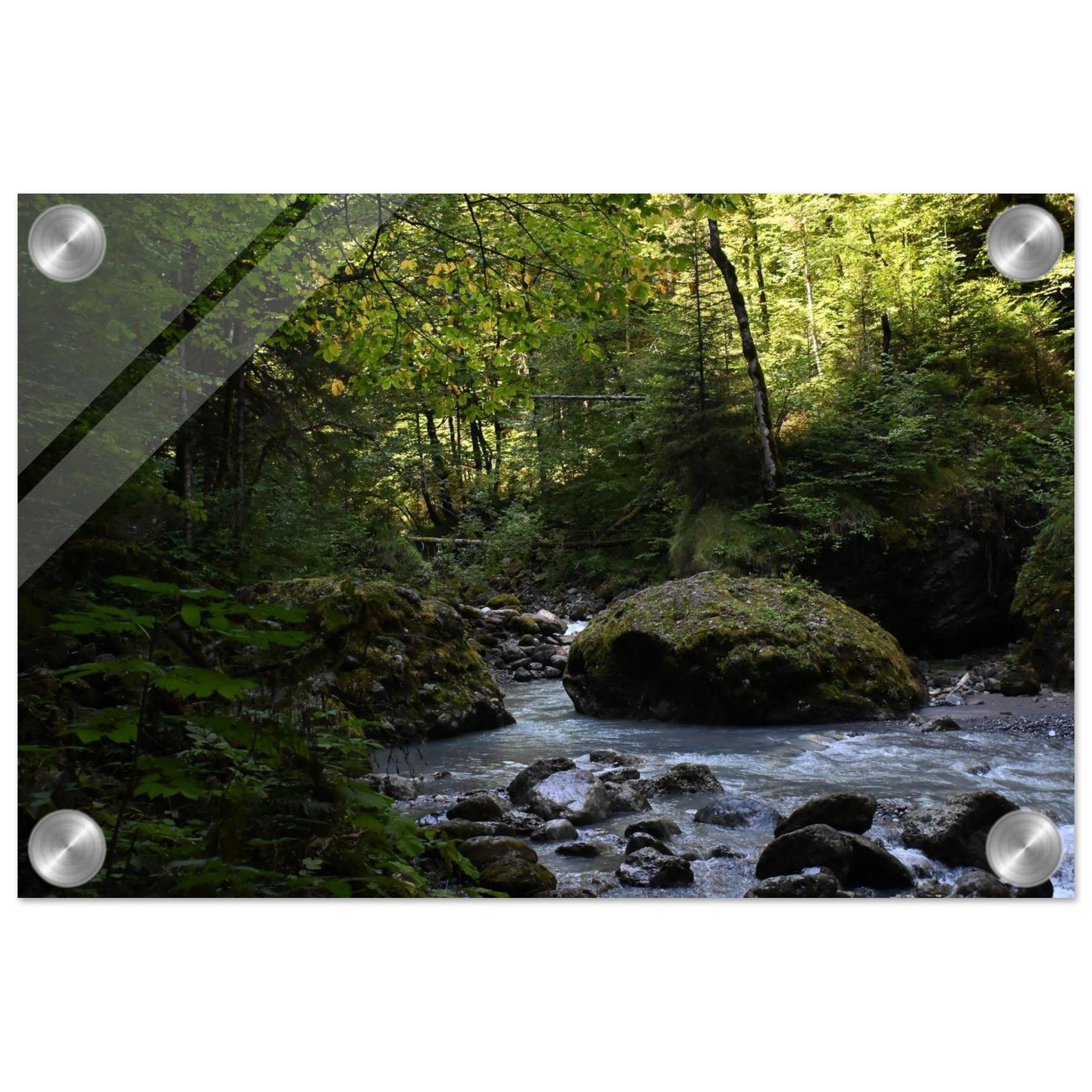 b5003731-f0f3-4820-b082-3d366789605f