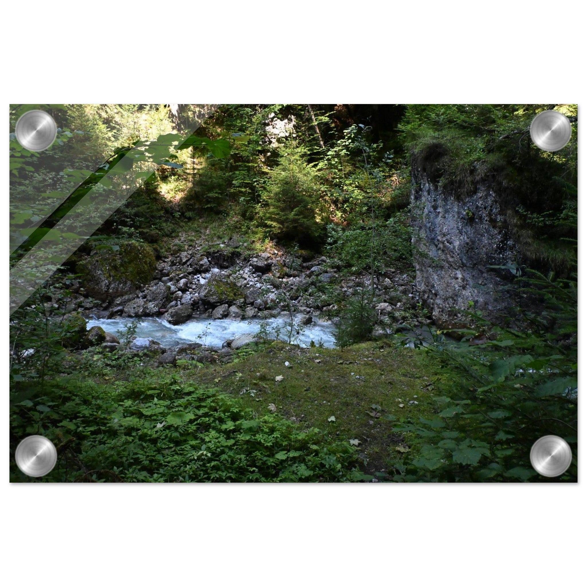 b6f67677-03f2-4804-af79-f7b2f1c5a050