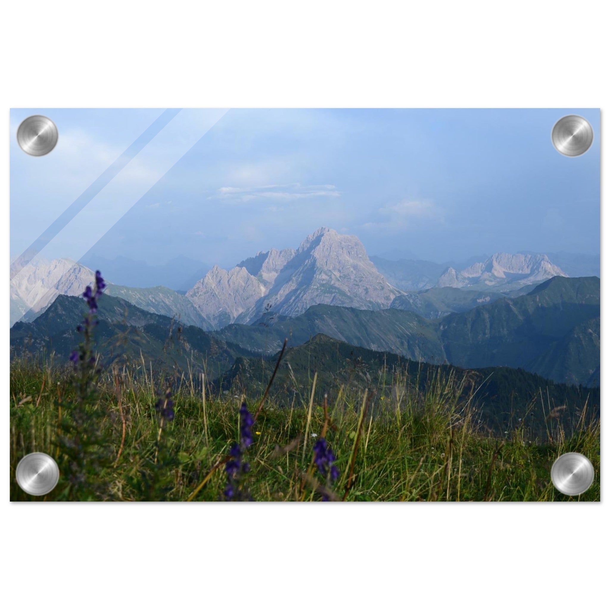ba5bafa9-0635-4090-9d51-8e570987ff22