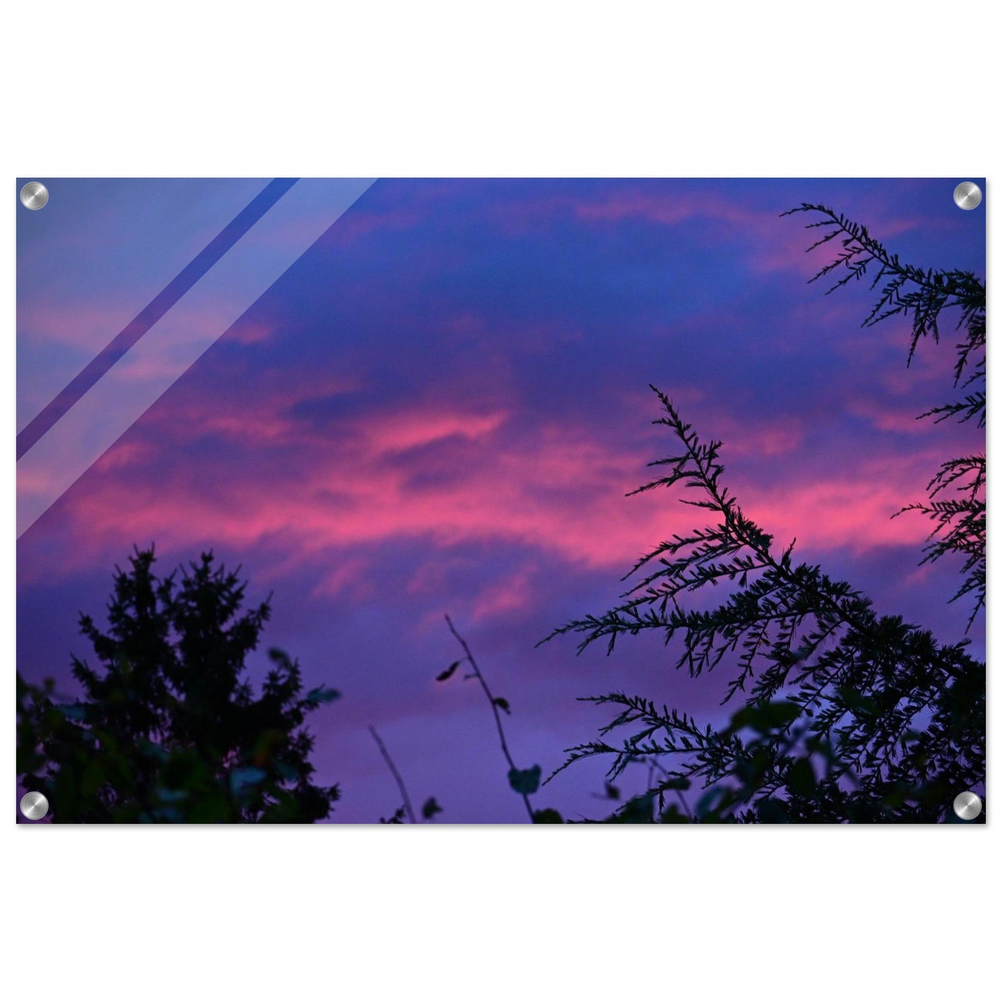c8ddaf53-0b6b-466e-88c4-98627770691e