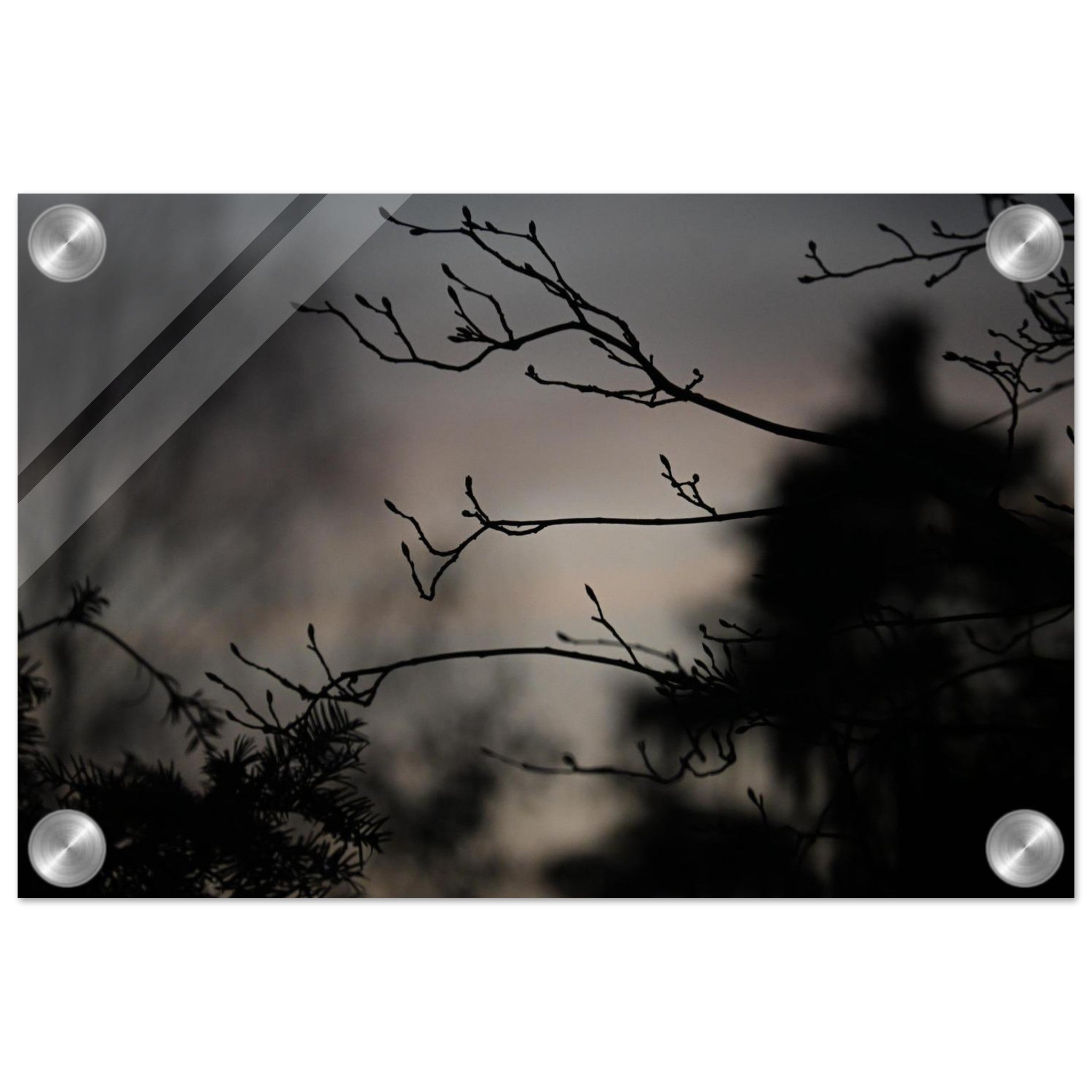 ca685790-15a5-4d73-a7a7-8479d97d872e