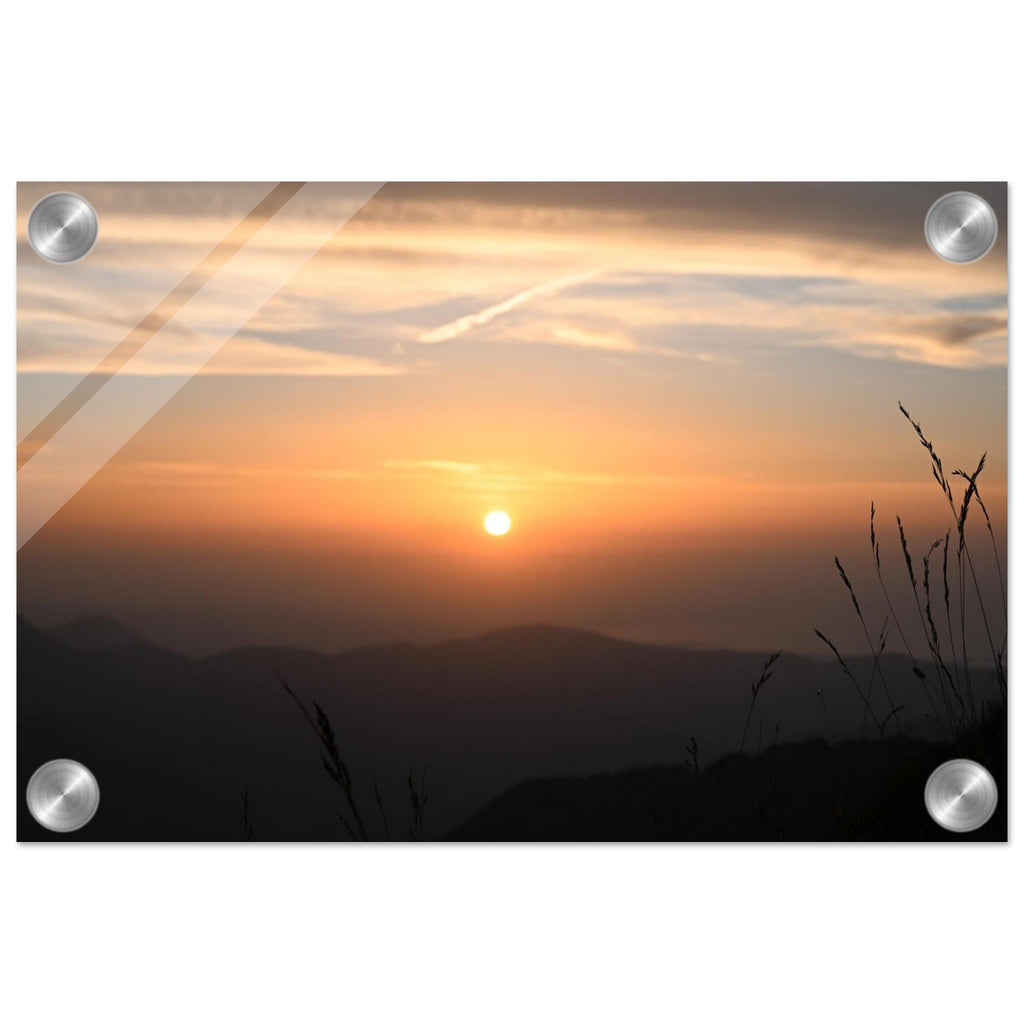 ce50ff96-d295-412e-894f-dc5b33b862e7