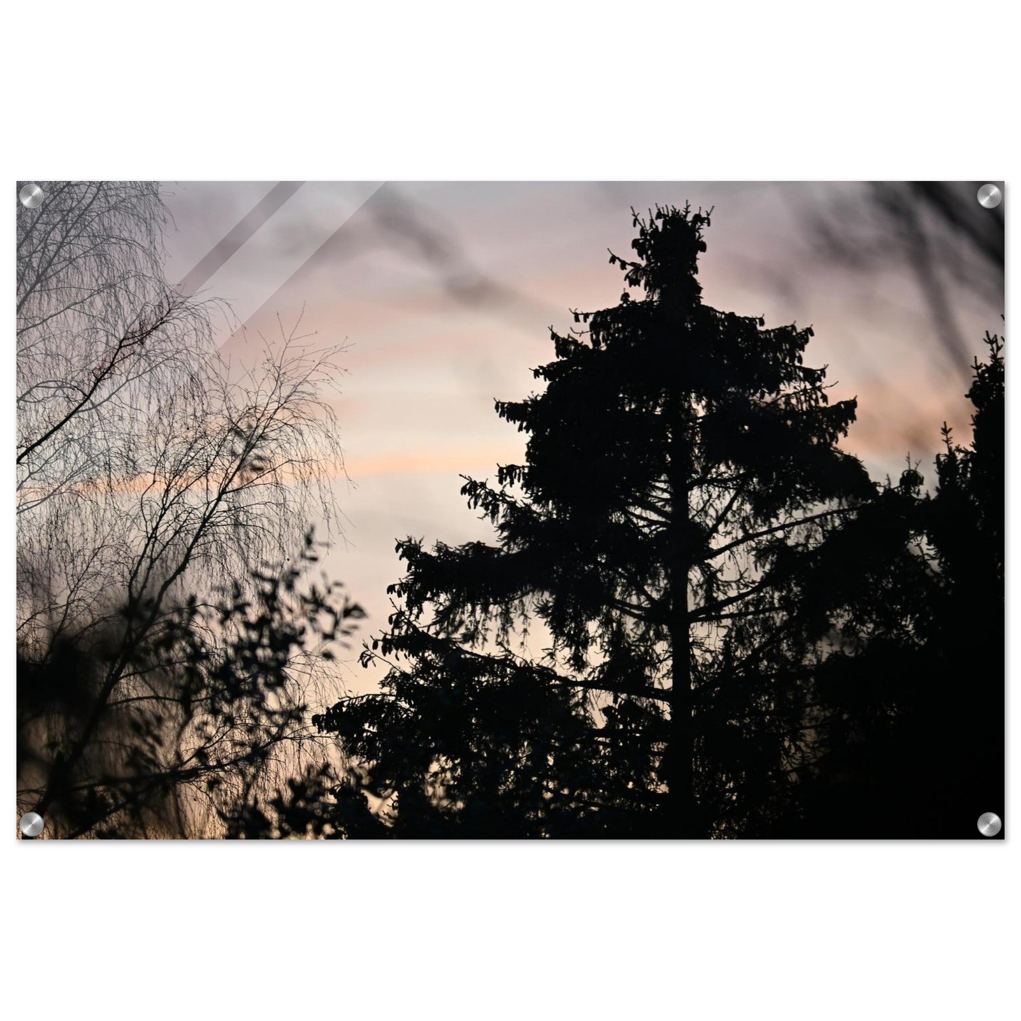 ce8e2475-0576-4f90-b7e9-6b399bcb1d4a