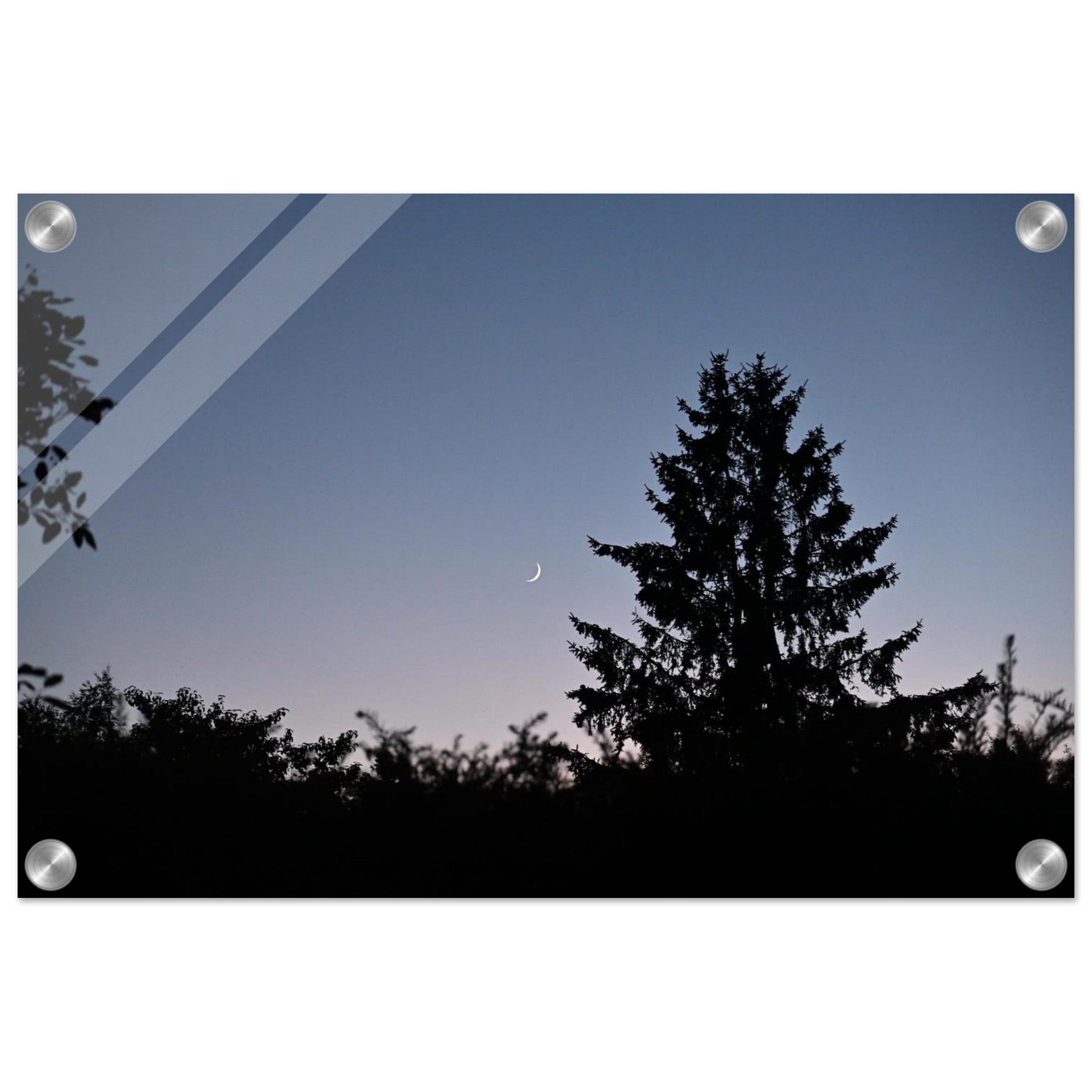 ceddee1c-9ce7-472e-8acd-1d6d10431f36