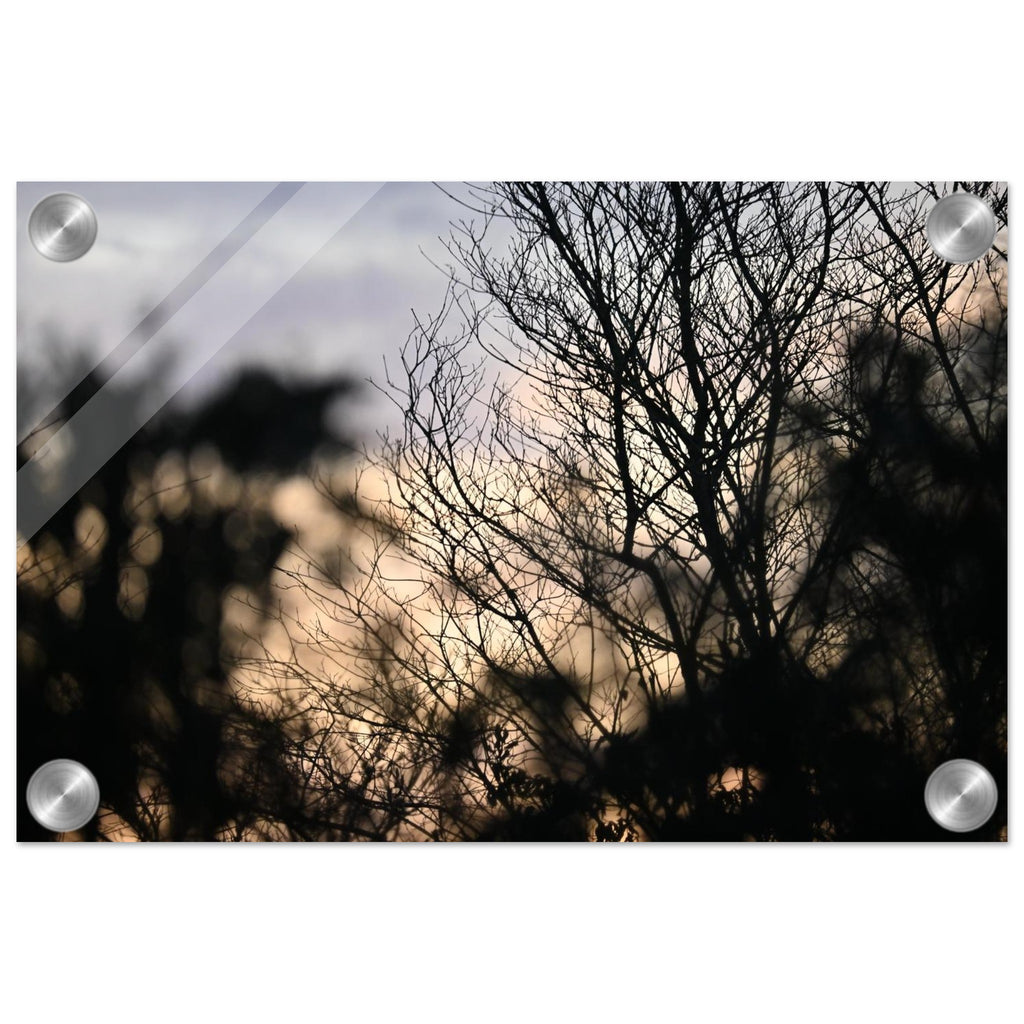 d13fcaa6-c5ec-4fb7-b4e9-ed15d95128d1