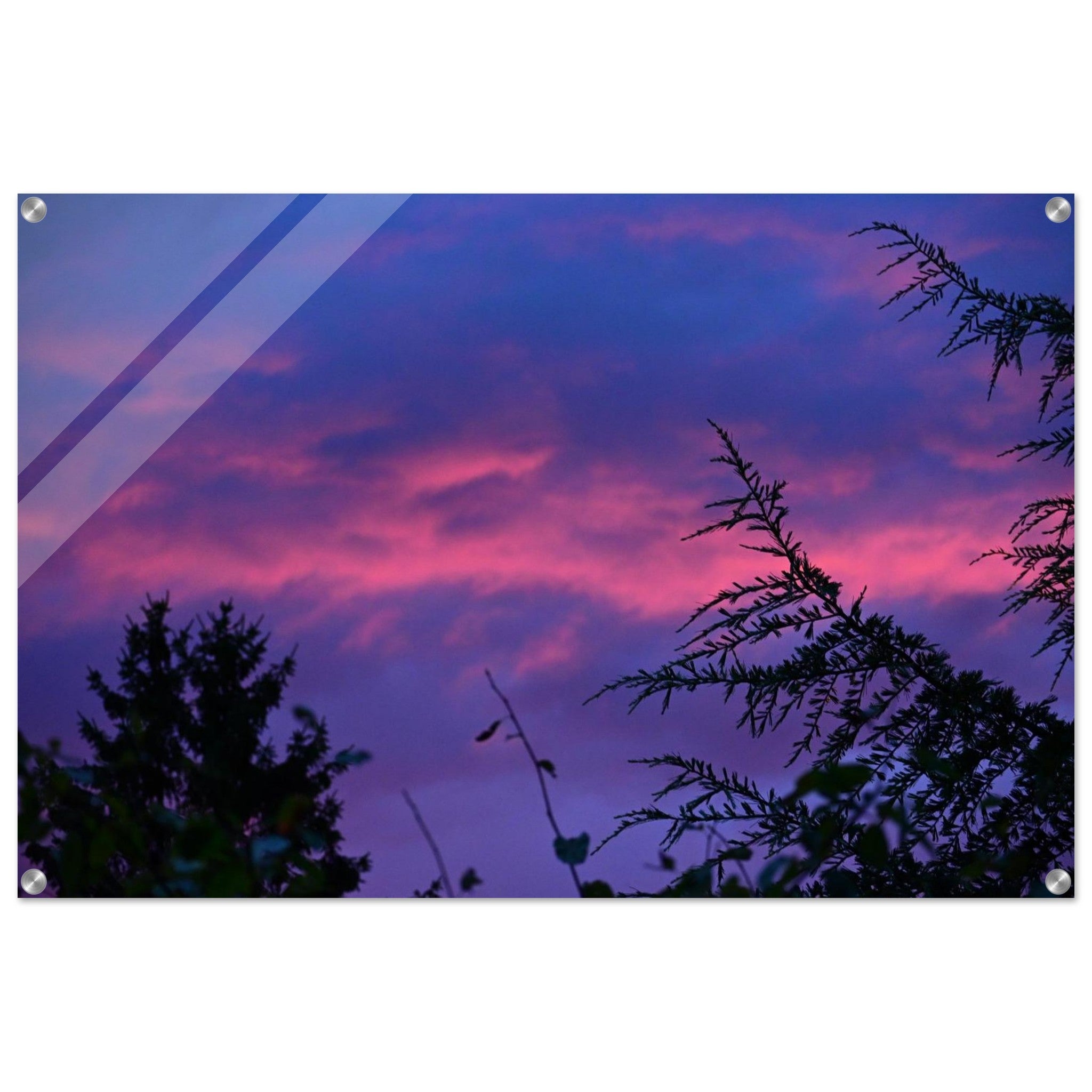 d5d332fc-f039-43ad-b196-6dc7028cc6a7