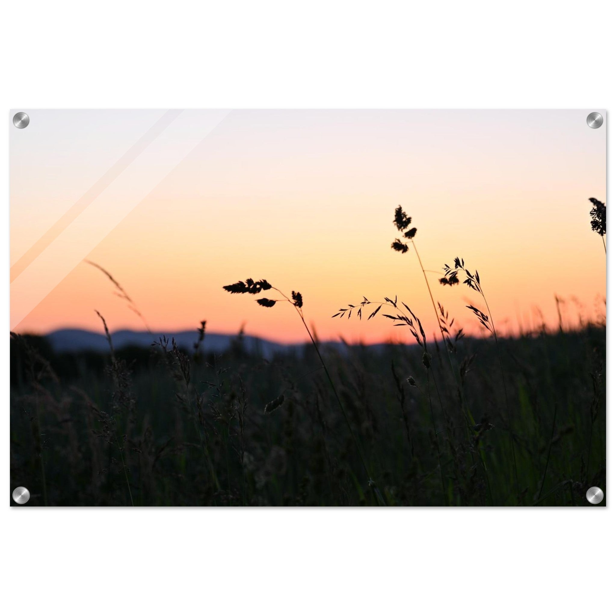 d7ddbe10-f51e-4049-ad7f-b297fa26f0a7