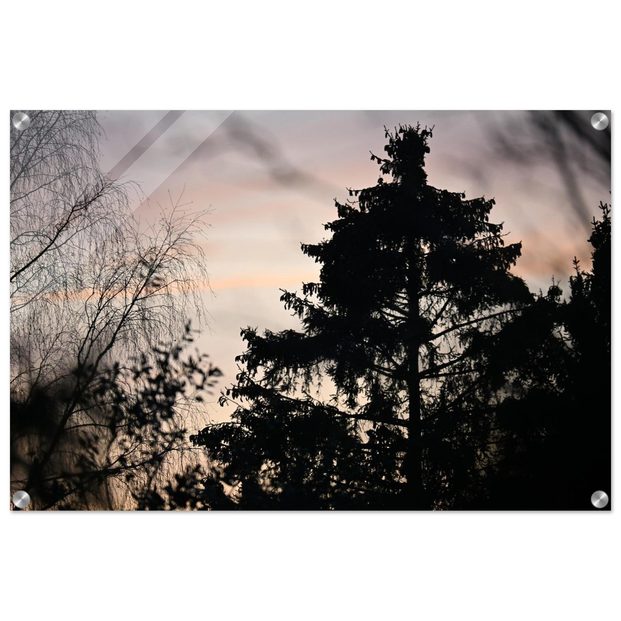 e71de2f5-f2d3-432e-9424-f1bbd756b402
