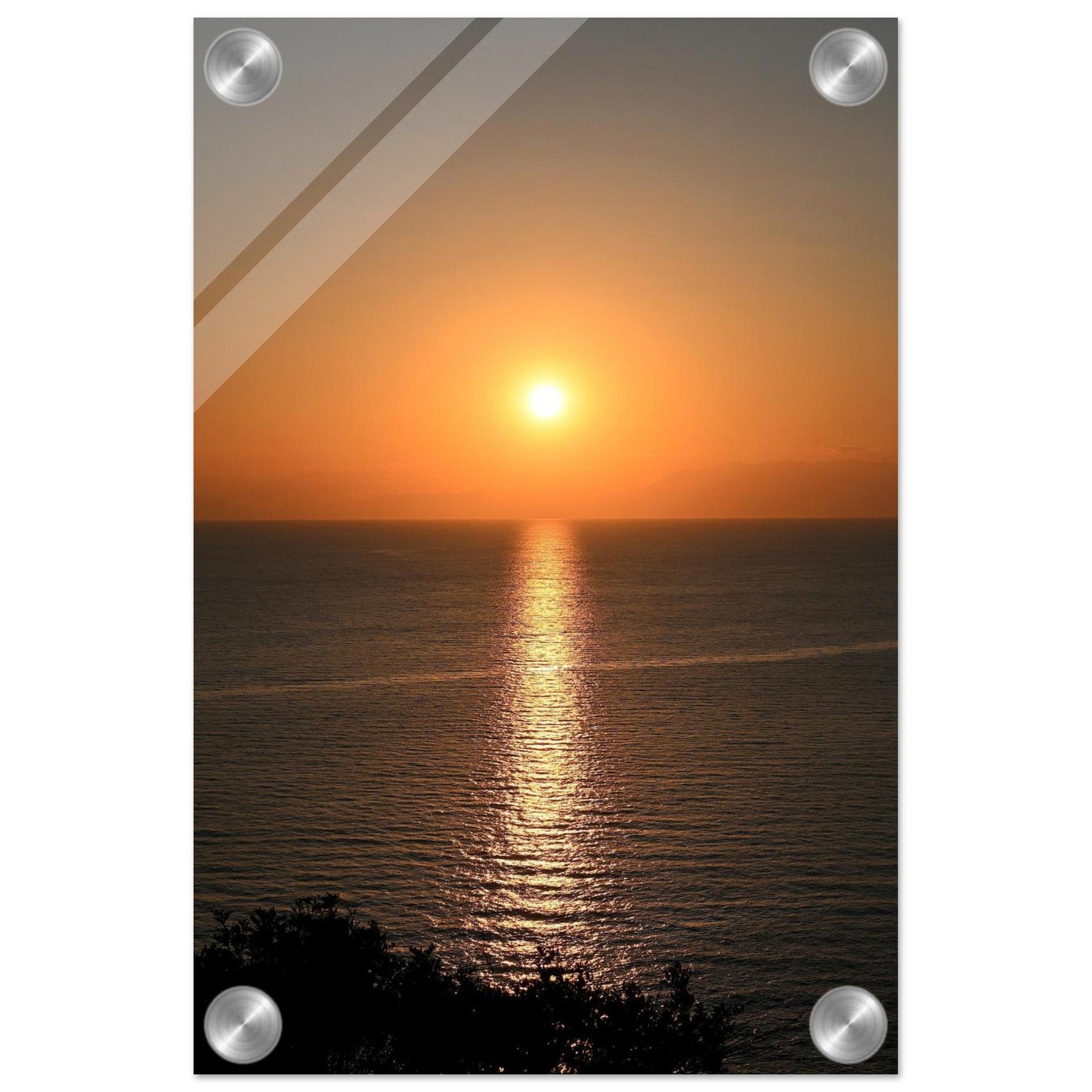 e88938e9-edeb-4c73-844e-818547a70d0f