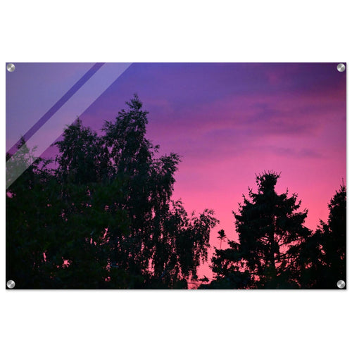 e8c08628-97f7-4642-be5c-6e9f66dddd37