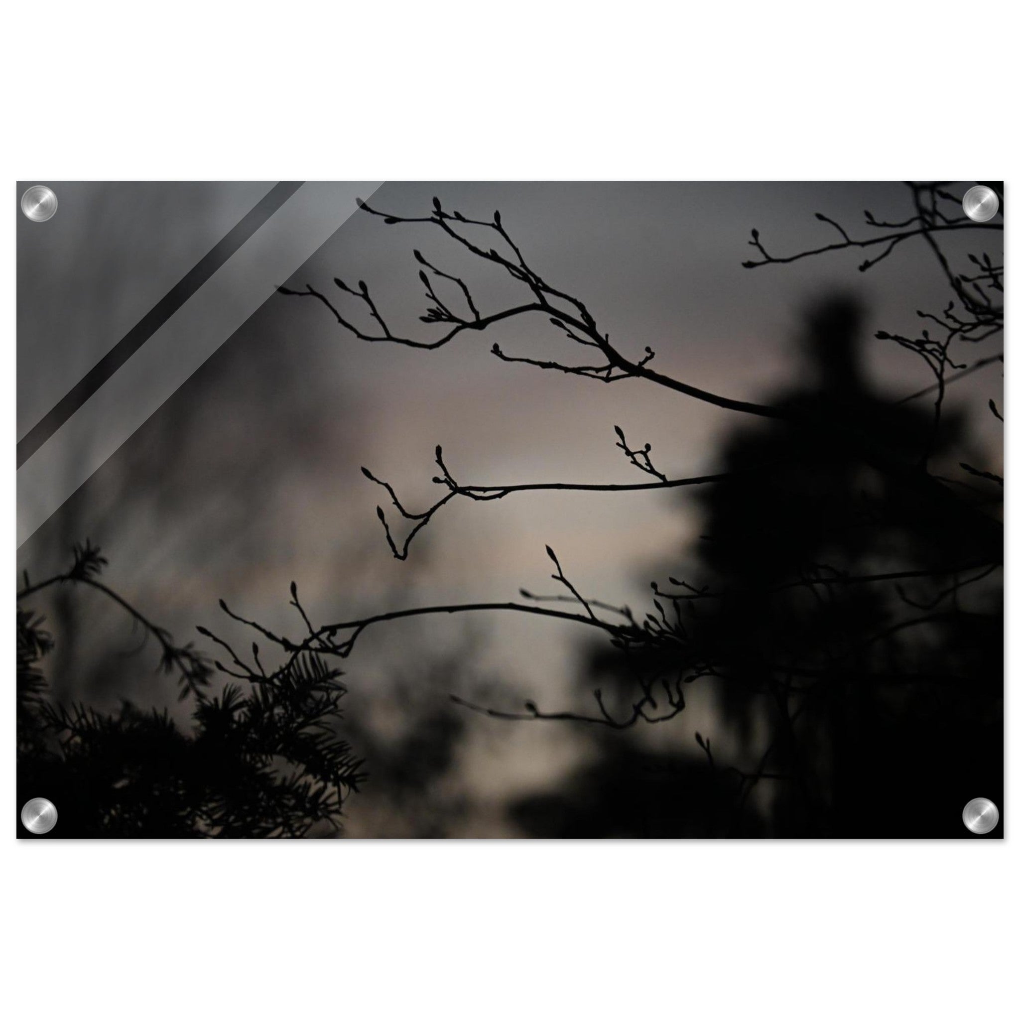 ebce54df-afa3-428e-8689-b010fe53e7ed