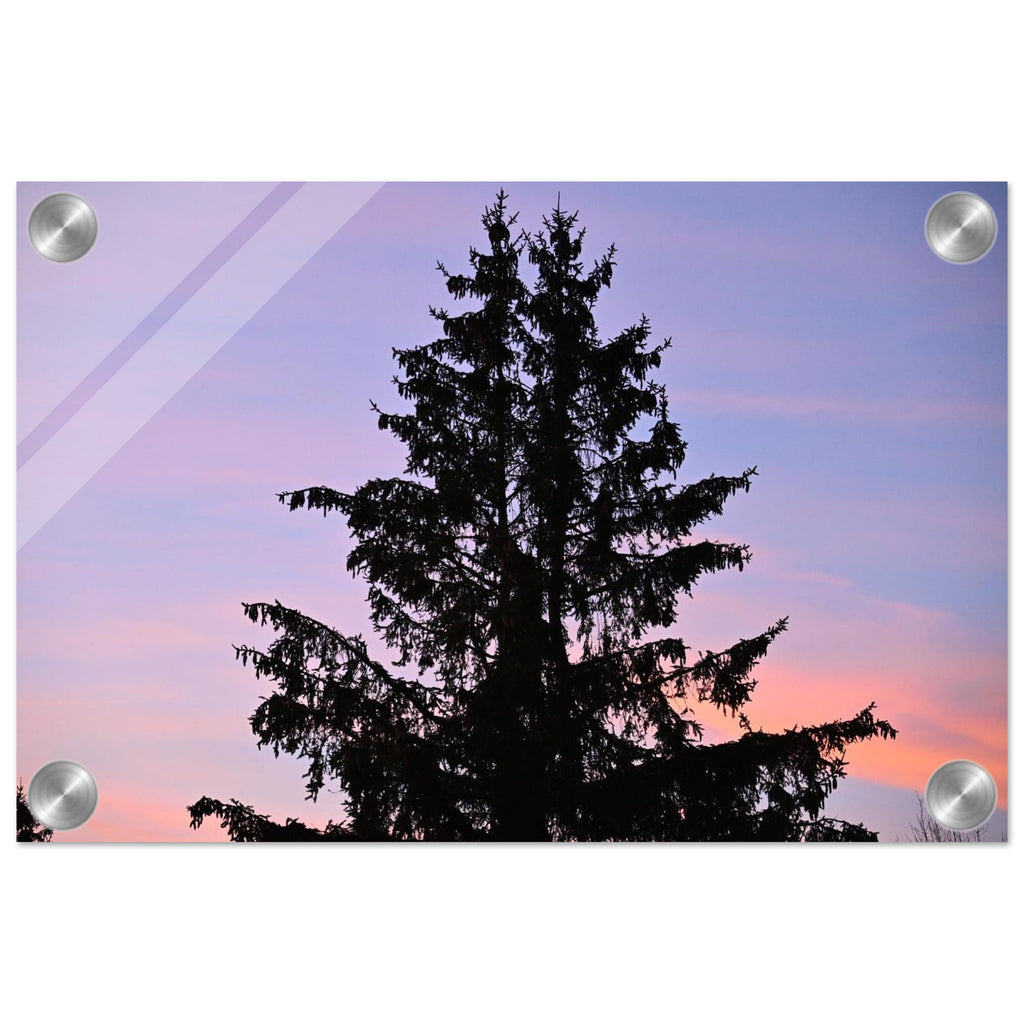 ecd8b1c8-802a-48c0-9899-f41eaf70df7c