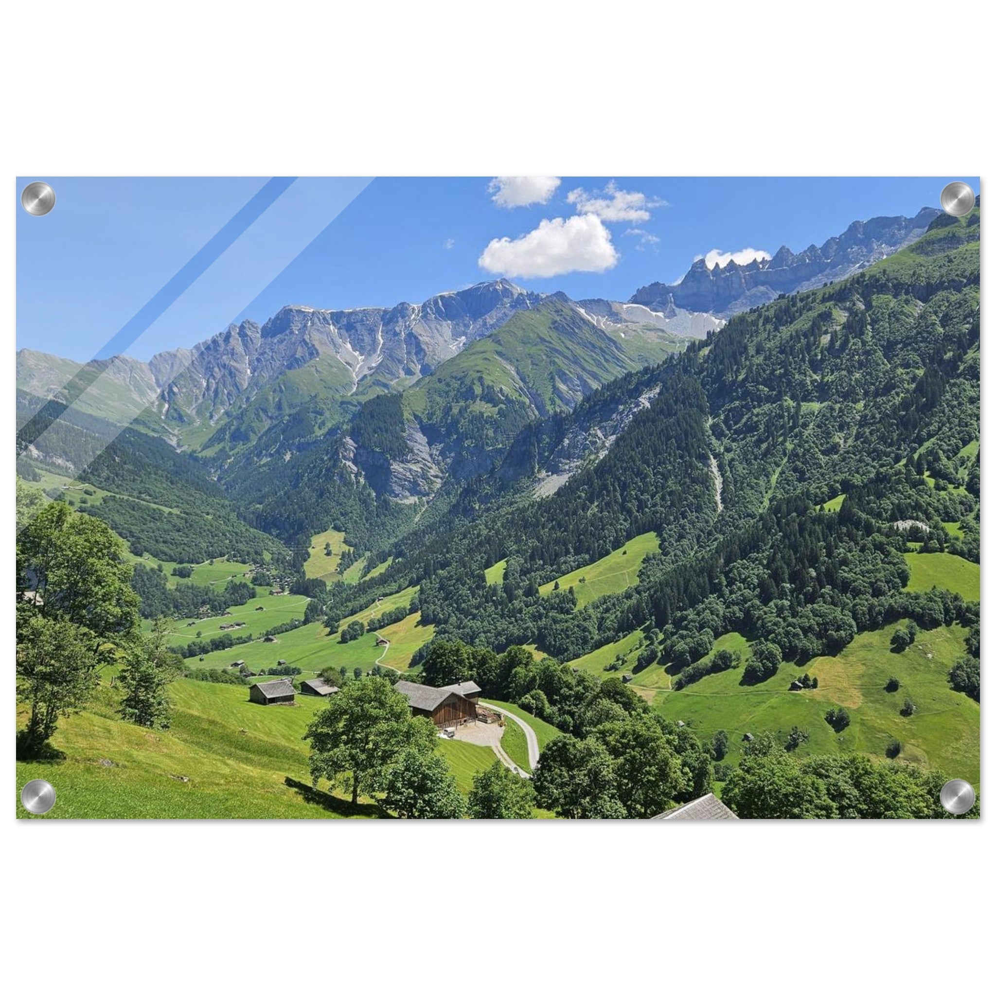f1d565ae-db31-4fed-90e0-7d7b6db575a6