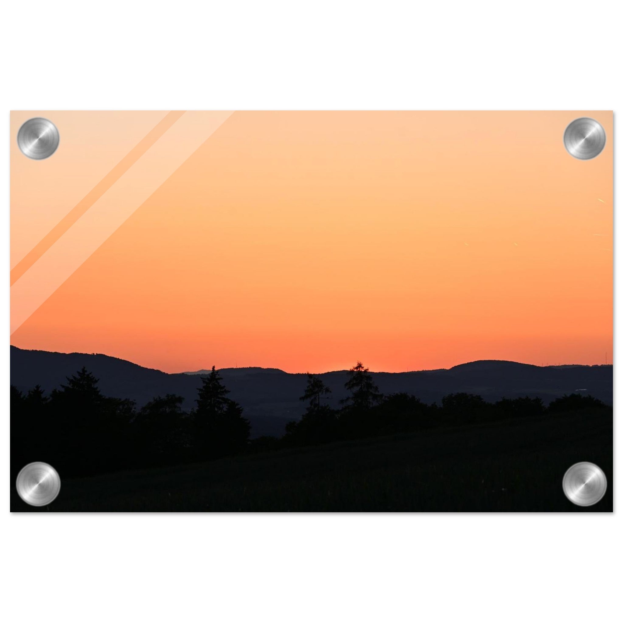 f1e62537-6523-4e66-9f81-36a298a0652a