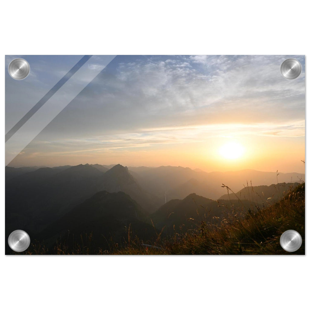 f7c1b2b2-3373-4ab1-8d7e-f6f0d39e0c04